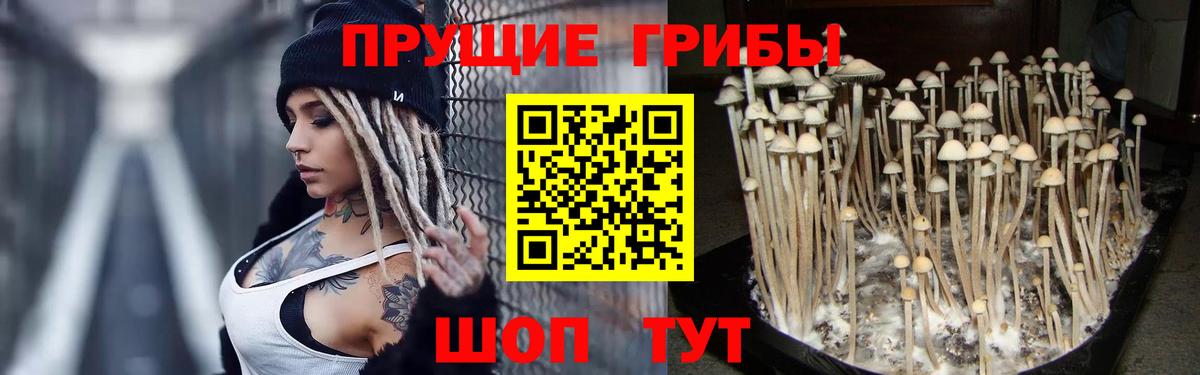 Галлюциногенные грибы Cubensis Лобня